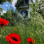Charming With A View Of Schermuetzelsee * Buckow