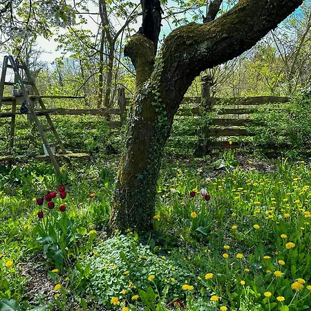 Charming With A View Of Schermuetzelsee * Buckow