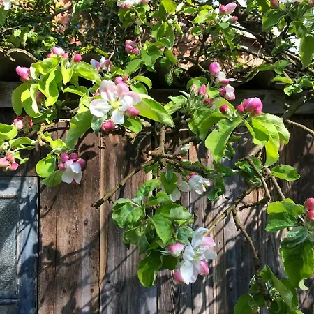 Дом отдыха Charming With A View Of Schermuetzelsee