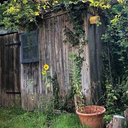 Vakantiehuis Charming With A View Of Schermuetzelsee Buckow