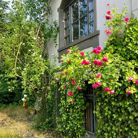 Charming With A View Of Schermuetzelsee Vakantiehuis *