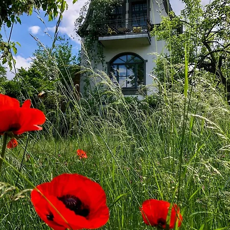 Charming With A View Of Schermuetzelsee * باكو