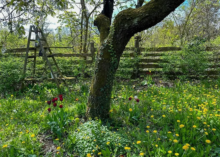 Charming With A View Of Schermuetzelsee * باكو