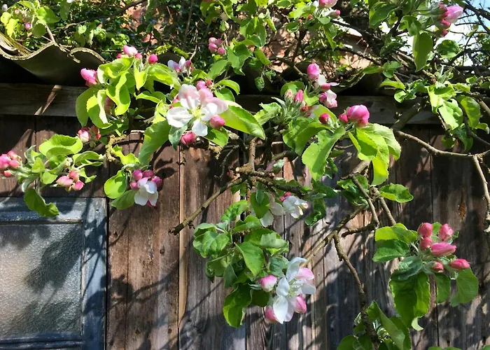 بيت للعطل Charming With A View Of Schermuetzelsee