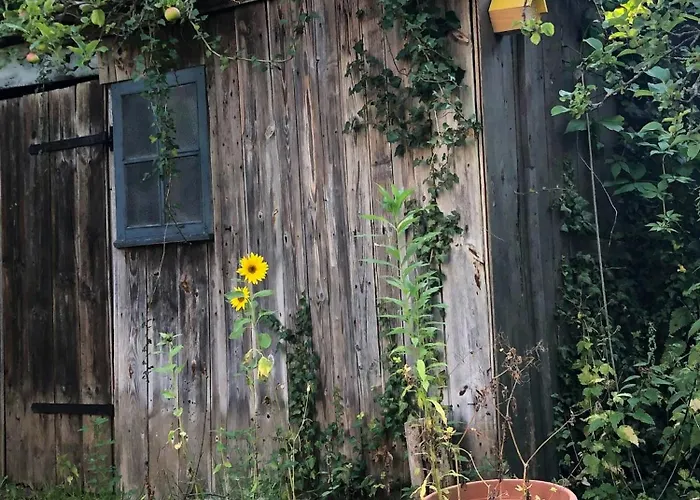بيت للعطل Charming With A View Of Schermuetzelsee باكو