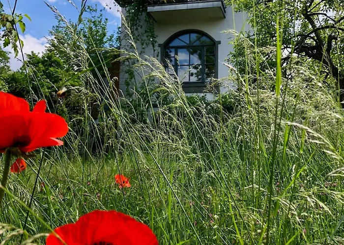 Charming With A View Of Schermuetzelsee * باكو