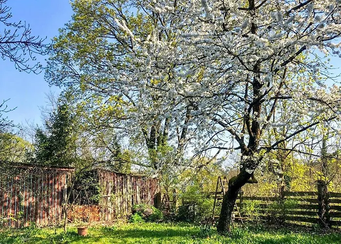 Charming With A View Of Schermuetzelsee